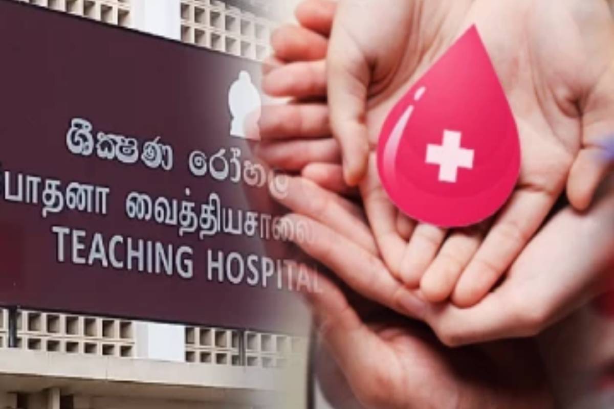 யாழ். போதனா வைத்தியசாலை விடுத்துள்ள அவசர வேண்டுகோள் | Blood Bank At Jaffna Teaching Hospital