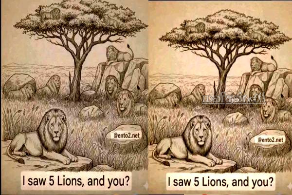 Challenge: இணையவாசிகளை சுத்தலில் விட்ட Post- ஒரே பதிலில் 50 ஆயிரம் பெறும் வாய்ப்பு | Viral Post Win 50 000 Trending Challenge