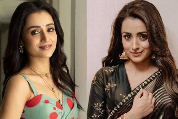சண்டிகர் தொழிலதிபருடன் திருமணமா? திரிஷா அம்மா கொடுத்த ரியாக்ஷன் இதுதான்.. | Trisha S Marriage What Is The Truth Mother Open