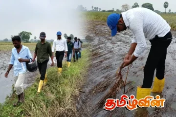 வெள்ள அனர்த்தங்களால் பாதிக்கப்பட்ட வயல்ளை பார்வையிட்ட அதிகாரிகள்