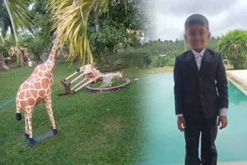 ஒட்டகச்சிவிங்கி சிலை இடிந்து விழுந்ததில் சிறுவன் உயிரிழப்பு!