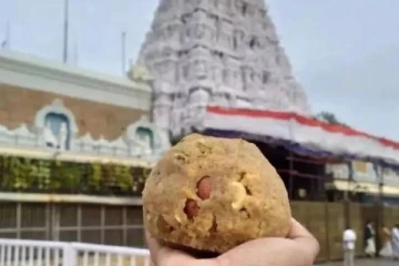 திருப்பதியில் லட்டு பிடிக்க ஆட்கள் தேவை; இந்த ஒரு தகுதி ரொம்ப முக்கியம் - கிளம்பிய சர்சை!