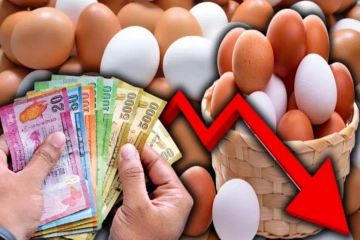 முட்டையின் விலையில் மாற்றம்