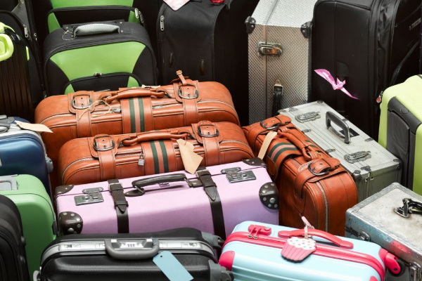 இந்தியாவிற்கு வரும் வெளிநாட்டு பயணிகளுக்கு விதிகளில் மாற்றம் | Government Changed The Norms For Expensive Luggage