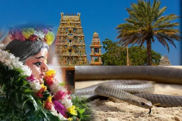 பிரசித்தி பெற்ற வற்றாப்பளை கண்ணகி அம்மன் ஆலய பாம்பு தீண்டிய விவகாரம்: வெளிவரும் உண்மைகள் (Video)