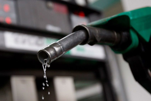 எரிபொருள் மானியம் தொடர்பில் வெளியான தகவல் | Information Released Regarding Fuel Subsidy