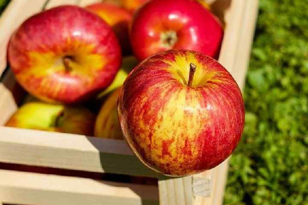 இந்த உணவுகளை எப்பவும் இரவில் எந்த நேரத்துலயும் சாப்பிடாதீங்க...மீறினால் உயிருக்கு ஆபத்து? | Healthy Foods You Should Not Eat At Night