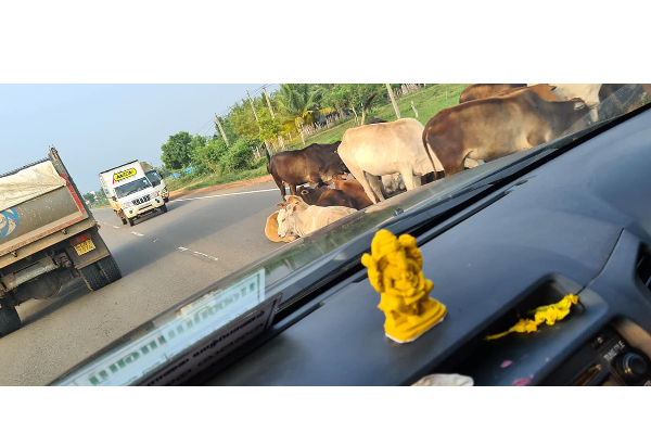 பாதுகாப்பான போக்குவரத்தினை உறுதிப்படுத்துங்கள்! அதிகாரிகளிடம் வைத்தியர் சத்தியமூர்த்தி விடுத்துள்ள வேண்டுகோள் (படங்கள்) | Ensure Safe Transportation