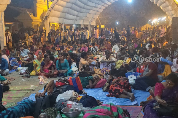 நாடளாவிய ரீதியில் இடம்பெற்ற மகா சிவராத்திரி விசேட வழிபாடுகள் | Maha Shivaratri Keerimalai Nakuleswarar Jaffna