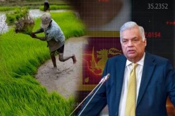 நாட்டின் பொருளாதாரத்தை மீளக்கட்டியெழுப்புவதில் முக்கிய துறையாக விவசாயம்