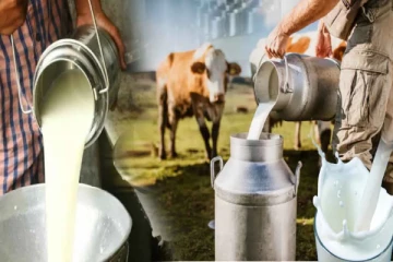 பாலின் விலையை 200 ரூபா வரை அதிகரிக்க அழுத்தம்