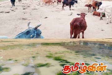 சுகாதார சீர்கேட்டுடன் இயங்கி வரும் தருமபுர சந்தை