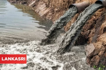 சுவிட்சர்லாந்தில் மூன்றாவது கொரோனா அலை: முன்கூட்டியே எச்சரிக்கும் கழிவு நீர்