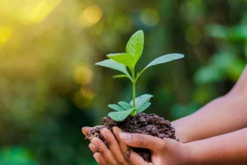 ජාතික පරිසර සතිය අදින් ඇරඹේ