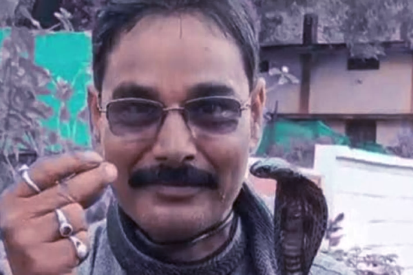 பாம்பு பிடி வீரனின் தவறான செயல் - கடைசியில் உயிரிழந்த பரிதாபம் | Cobra Snake Catcher Dies Man Viral Video
