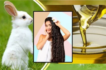 கூந்தல் வளர்ச்சியில் முயல் ரத்த எண்ணெய்யின் பங்கு என்ன தெரியுமா!