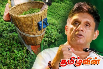 பெருந்தோட்டத் தொழிலாளர்களை சிறுதோட்ட உரிமையாளராக்குங்கள் - சஜித் கோரிக்கை