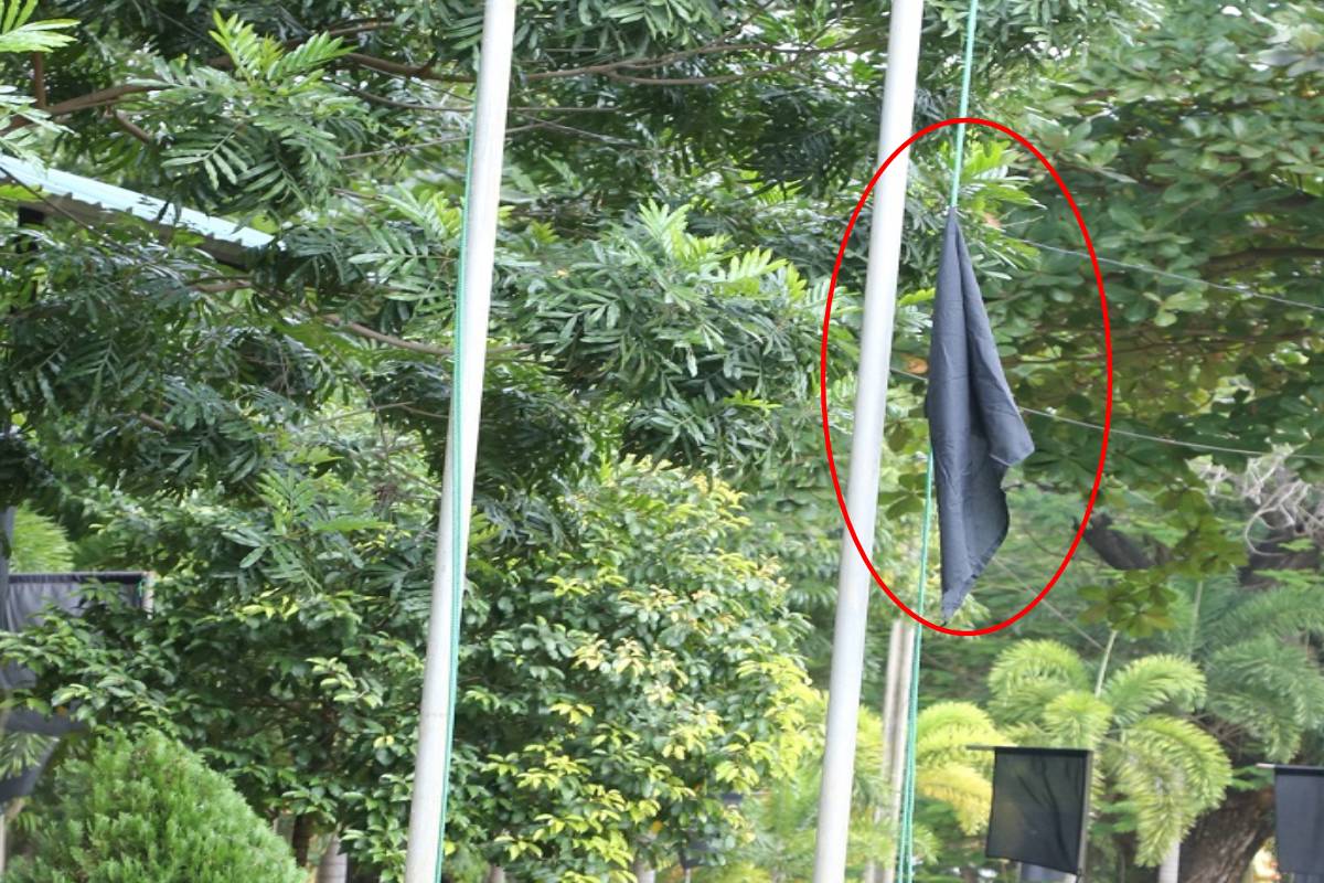 யாழ். பல்கலையில் பறக்கவிடப்பட்ட கறுப்புக்கொடி: விசாரணை ஒத்திவைப்பு | Black Flag Hoisted At Jaffna University Issues