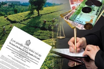 தோட்ட தொழிலாளர்களின் சம்பளம்: சர்ச்சையில் சிக்கிய வர்த்தமானி