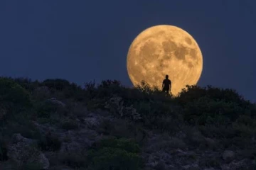 2024 ஆம் ஆண்டின் முதல் பெரு ழுழு நிலவு எப்போது தெரியுமா? வெளியான தகவல்