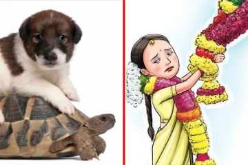 நாய், ஆமை என வித்தியாசமாக வரதட்சணை கேட்ட மாப்பிள்ளை! அடுத்த என்ன ஆனது தெரியுமா?