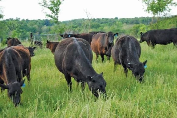 தந்தையின் பின்னால் சென்ற சிறுவனுக்கு நேர்ந்த பெரும் துயரம்!