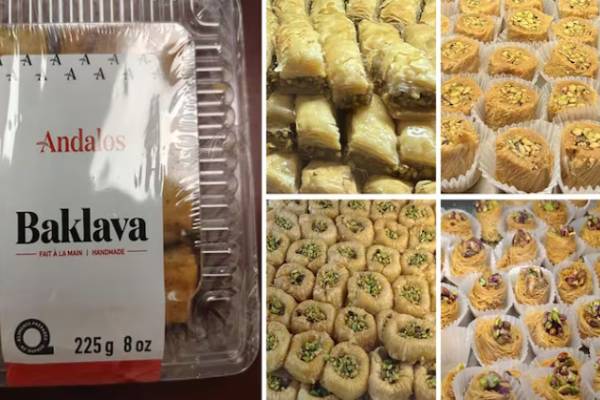 கனடாவில் பிஸ்தாவில் நோய்க்கிருமிகள்: சுகாதார அமைப்பு அறிவிப்பு | Canada Food Inspection Warns Salmonella In Pista