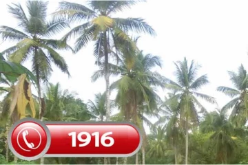 மேலும் ஒரு அவசர தொலைபேசி இலக்கம் அறிமுகம்