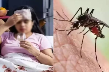 தீவிரமடையும் டெங்கு காய்ச்சல்! இலங்கை மக்களுக்கு விடுக்கப்பட்டுள்ள அறிவுறுத்தல்