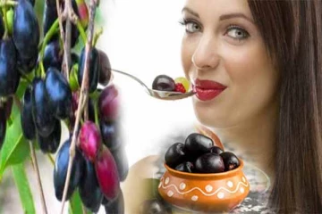 நாவல் பழத்தில் இத்தனை மருந்துவ குணங்களா?