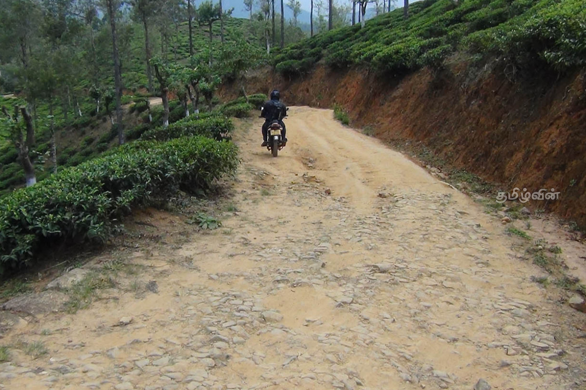 லிந்துலையில் 7 வருடங்களாக புனரமைக்கப்படாத வீதி - அதிகாரிகளின் அசமந்த போக்கை சுட்டிக்காட்டி மக்கள் | Road In Lindula That Not Been Renovated For 7 Year