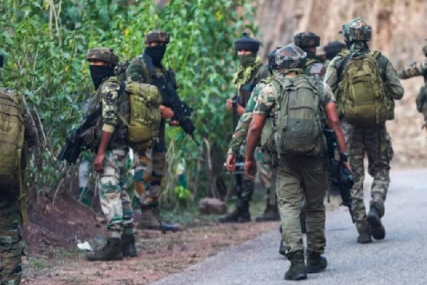 வெடிகுண்டு அச்சுறுத்தல்! பொலிஸார் இன்று வெளியிட்டுள்ள விசேட அறிக்கை | Bomb Threat An Attempt To Cause Panic