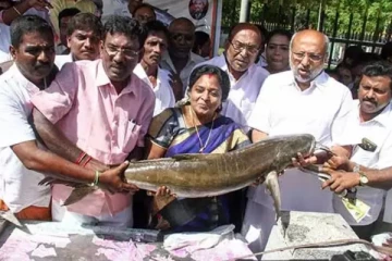 மீனை சைவத்தில் சேர்க்க வேண்டும் - ஆளுநர் தமிழிசை சௌந்தரராஜன் யோசனை!