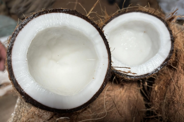 இலங்கையில் தேங்காய் விலை உயர்வு | Coconut Prices Rise In Sri Lanka