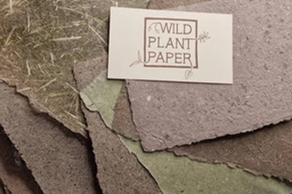 காட்டுச் செடி மூலம் காகித உற்பத்தி | Paper Production By Wild Plants