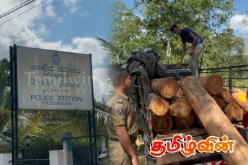 முல்லைத்தீவில் பொலிஸாரால் மரக்கடத்தல் முறியடிப்பு