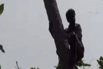 உயரமான தென்னைமரத்தில் ஏறி ஆர்ப்பாட்டத்தில் ஈடுபட்ட நபர்! வெளியான காரணம்
