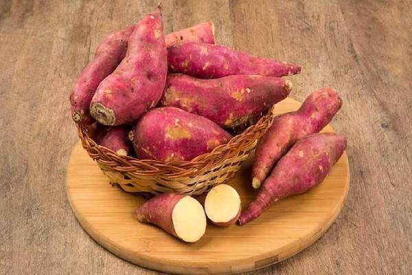 புற்றுநோய் செல்களை வேரருக்கும் டாப் 5 உணவுகள்! இனிமேல் தவிர்க்காதீங்க | What Are The Top 5 Cancer Fighting Foods