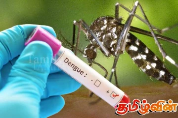 டெங்கு தொற்று தொடர்பில் அரசாங்கத்தின் நிலைப்பாடு