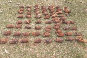 யாழில் நூற்றுக்கணக்கான கைக்குண்டுகள் மீட்பு (Video)