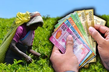 தொழிலாளர்களின் 1500 ரூபா சம்பள அதிகரிப்பிற்கு பெருந்தோட்ட நிறுவனங்கள் இணக்கம்