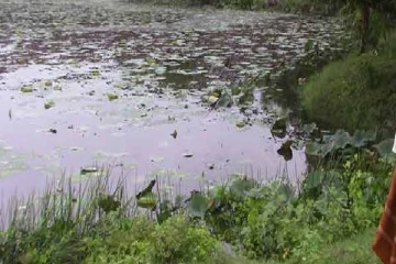 நீராடச்சென்று இளைஞன் நீரில் மூழ்கி மரணம் - சாம்பல்தீவில் சோகம்