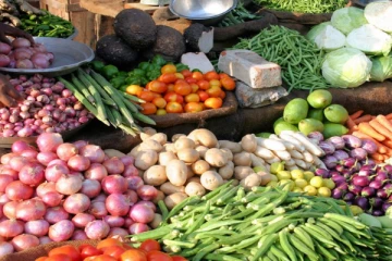 மார்ச் மாதம் இறுதிவரை மரக்கறிகளின் விலை அதிகரித்து காணப்படும்