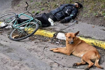 எஜமானர் கொல்லப்பட்டது தெரியாமல் விட்டுவிலகாத நாய்: உக்ரைனில் சோகம்