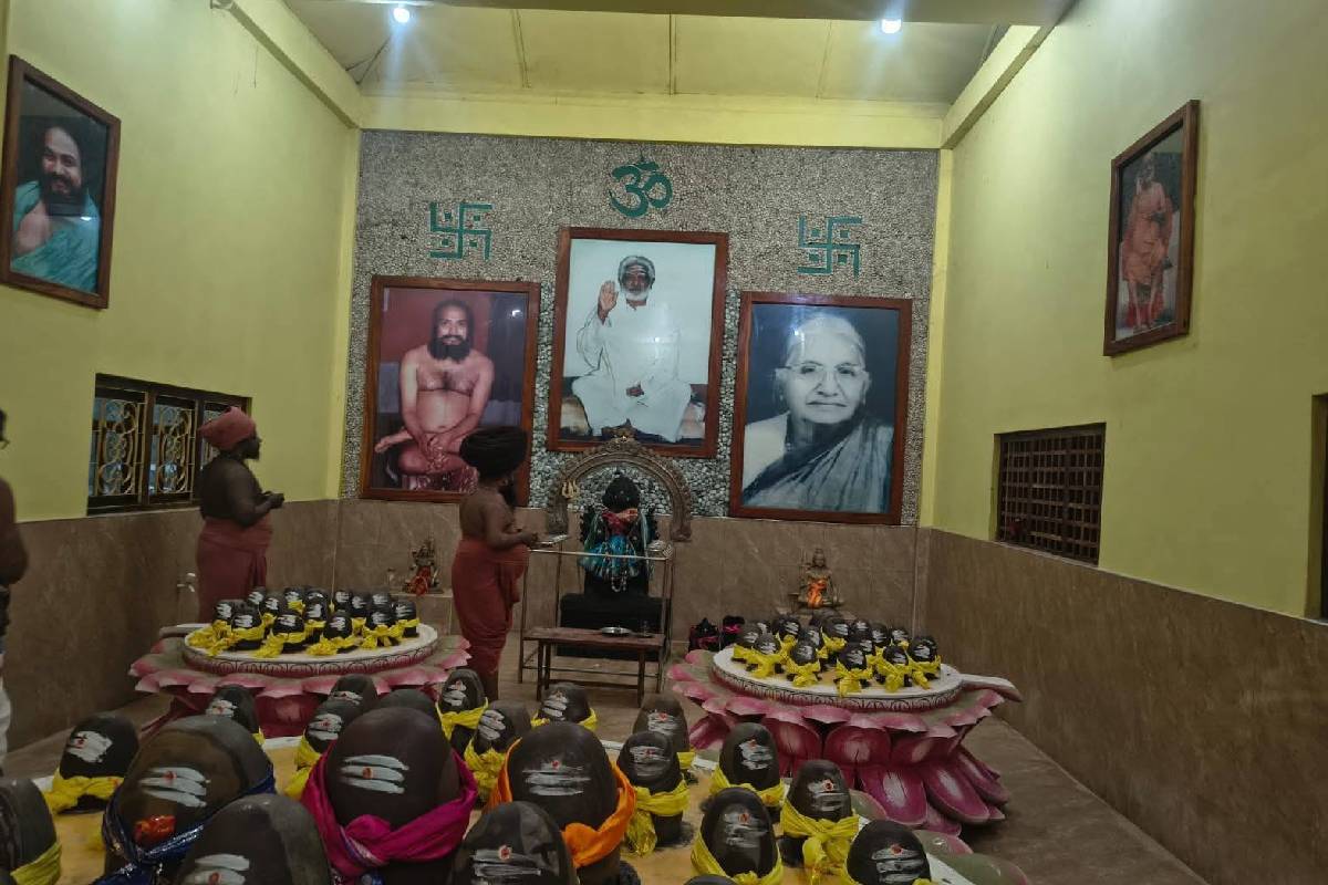 யாழில் புதிய மாற்றம் ; இந்தியாவிலிருந்து யாழ் வரை சைவ பட்டப்படிப்புகள் ஆரம்பம் | New Change In Jaffna Saiva Degree Courses India