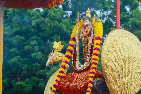 வரலாற்று சிறப்பு மிக்க நல்லூர் கந்தன்  ஆலயத்தில் இன்று மாம்பழத்திருவிழா! (Photos) | Mango Festival Today Nallur Kandan Temple