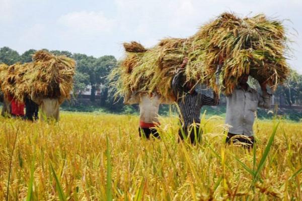 சர்வதேச நாணய நிதியம் தனது கடமையைச்செய்யும் வரை காத்திருப்போம்: ஜனாதிபதி அறிவிப்பு | Let S Wait For The Imf To Do Its Duty President