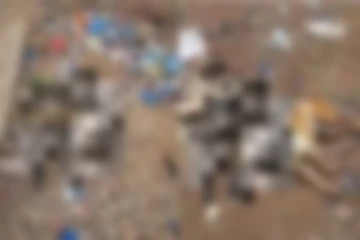 100க்கும் மேற்பட்ட நாய்கள் கொலை - உடல்கள் குப்பையில் வீசப்பட்ட கொடூரம்