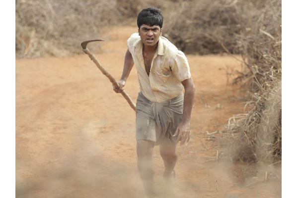 திரையரங்கில் ஒடிக்கொண்டு இருக்கும் வெந்து தணிந்தது காடு பட பேனரை கிழித்த தனுஷின் ரசிகர்கள்! | Dhanush Fans Torn Vtk Movie Banner
