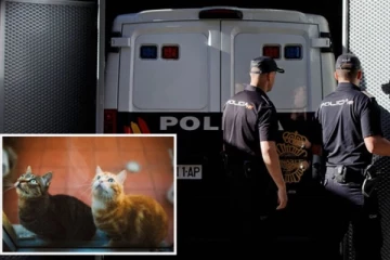 அழுகிய நிலையில் கண்டெடுக்கப்பட்ட சடலம்... வளர்ப்பு பூனைகள் தின்று தீர்த்த கொடூரம்